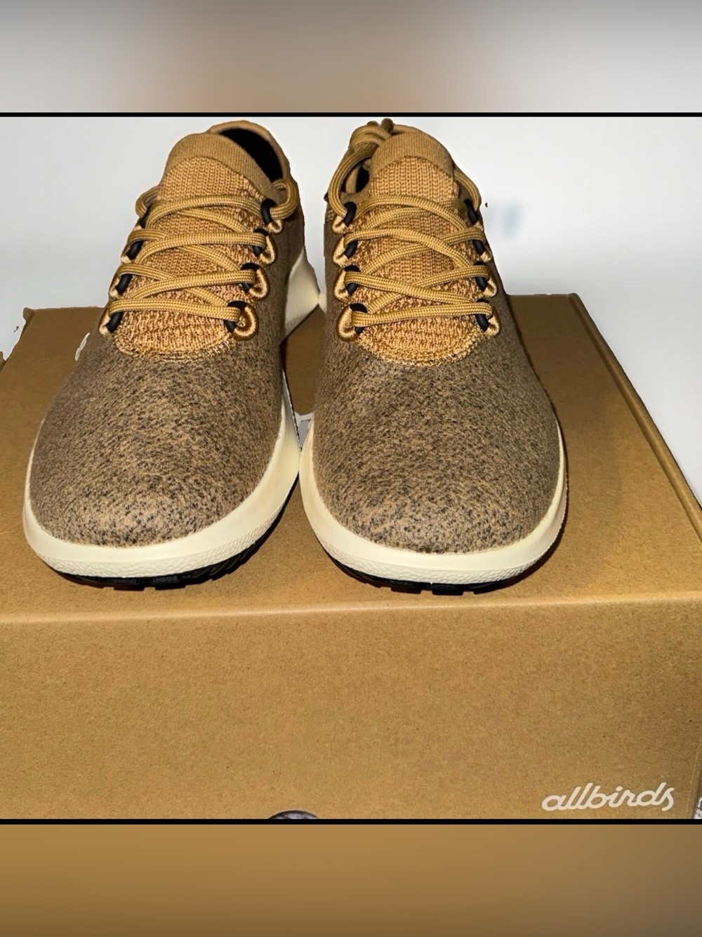 allbirds Wool Dasher 2 Mizzle Women's Sneakers in Stony Beige